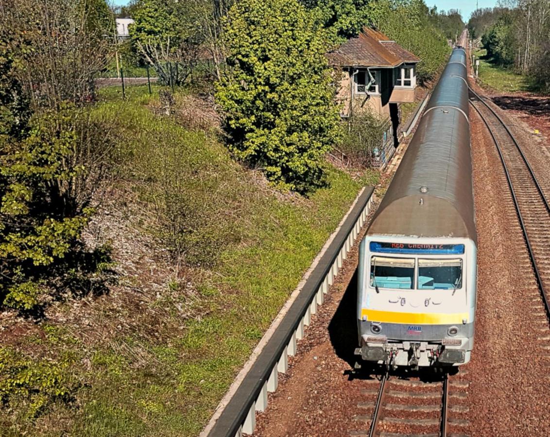 Parkvilla Bad Lausick Zewnętrze zdjęcie